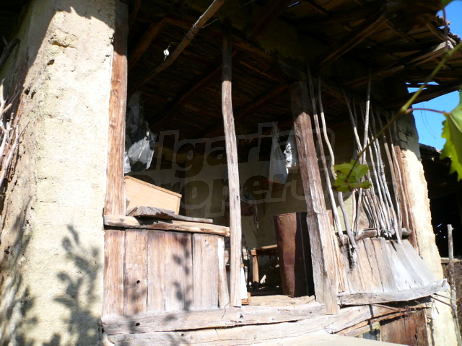Gallery Picture 14