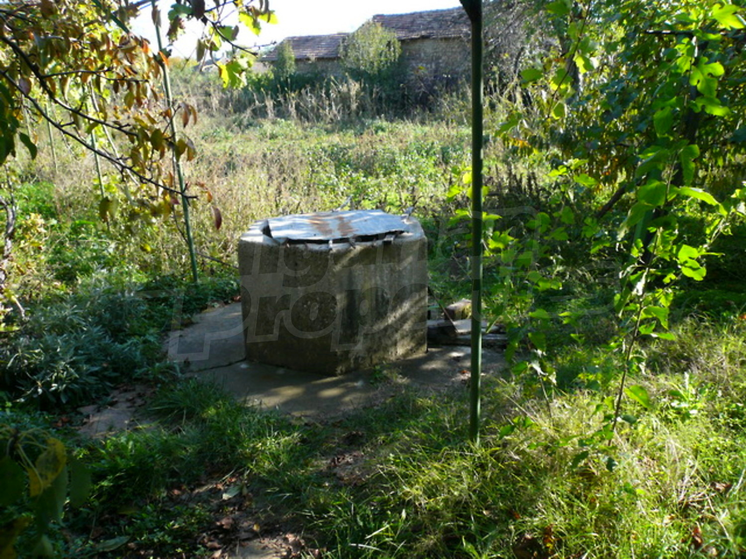 Gallery Picture 15