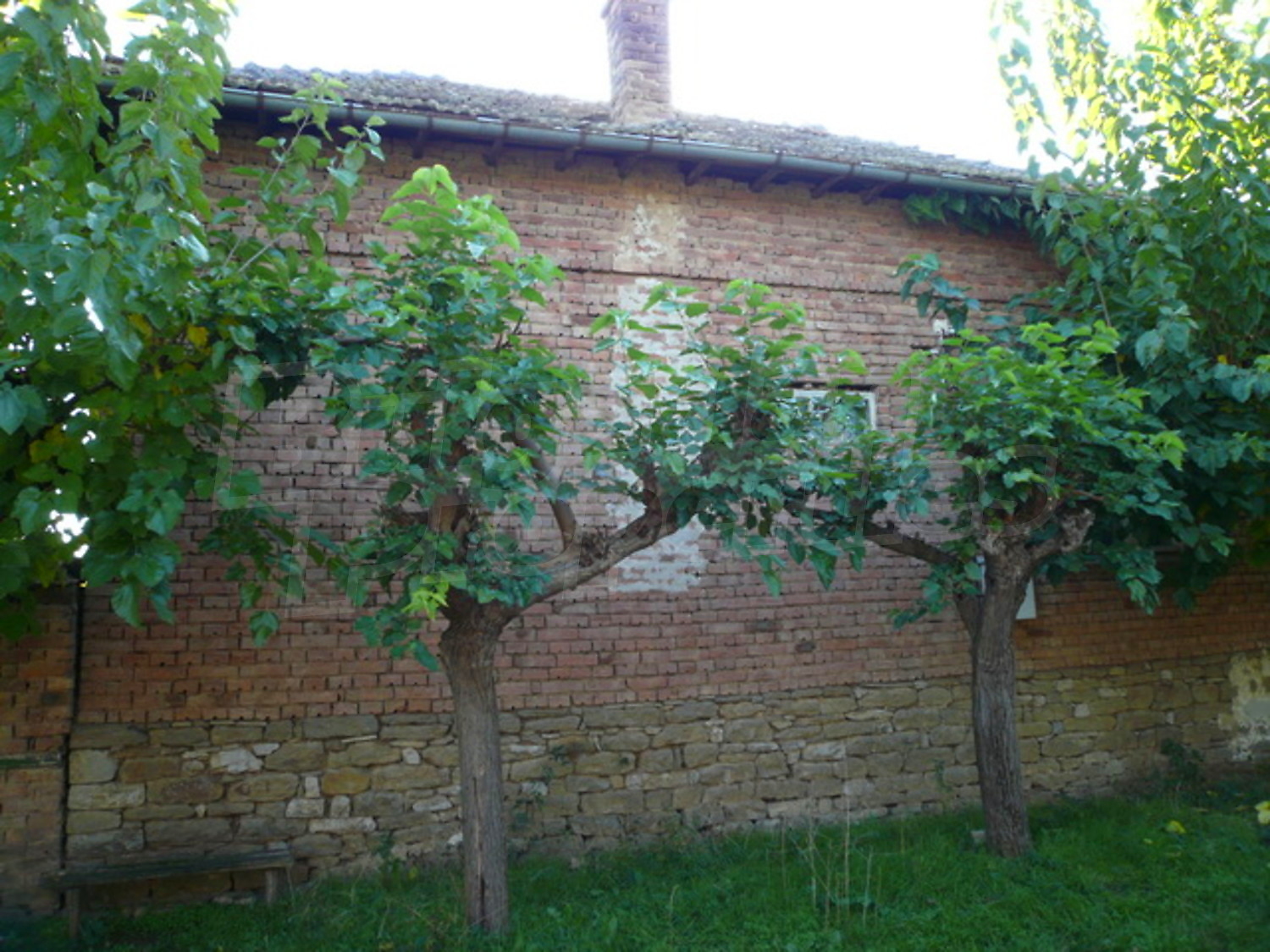 Gallery Picture 18