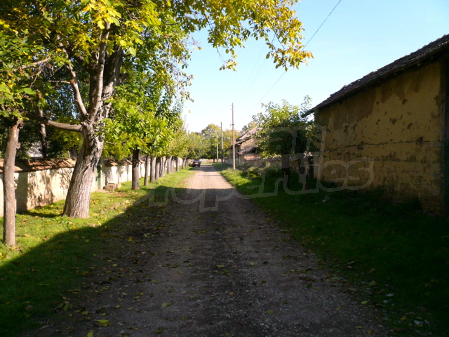 Gallery Picture 20
