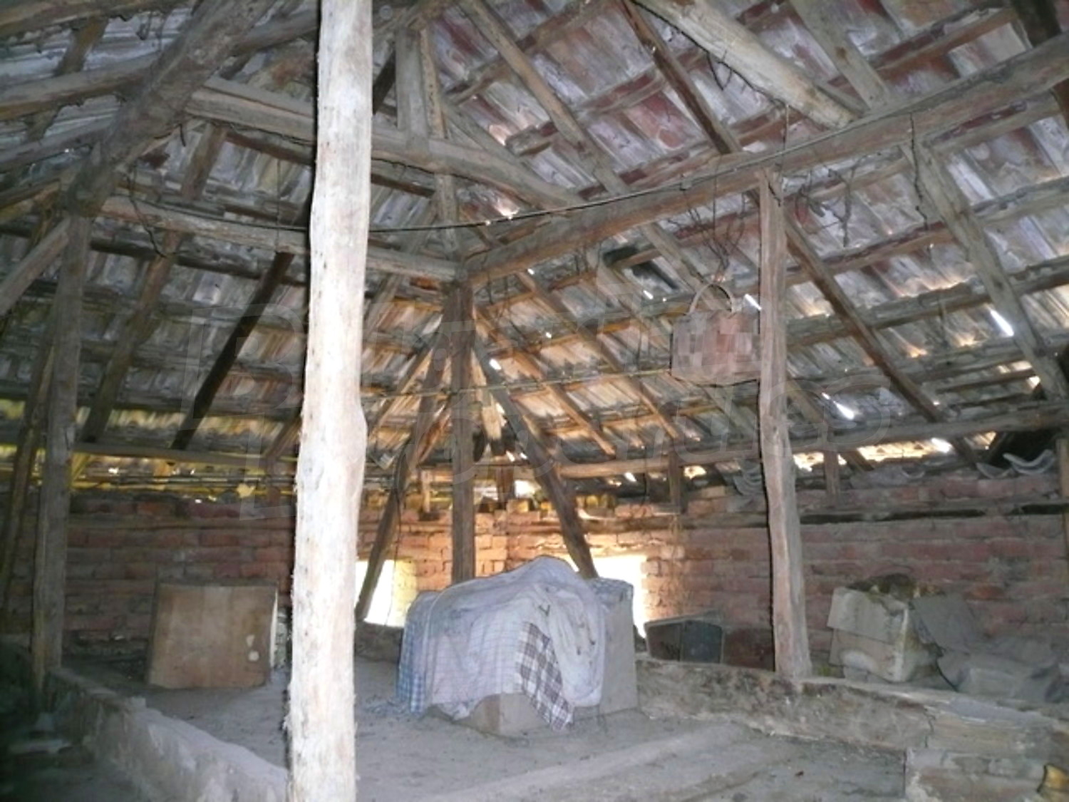 Gallery Picture 7