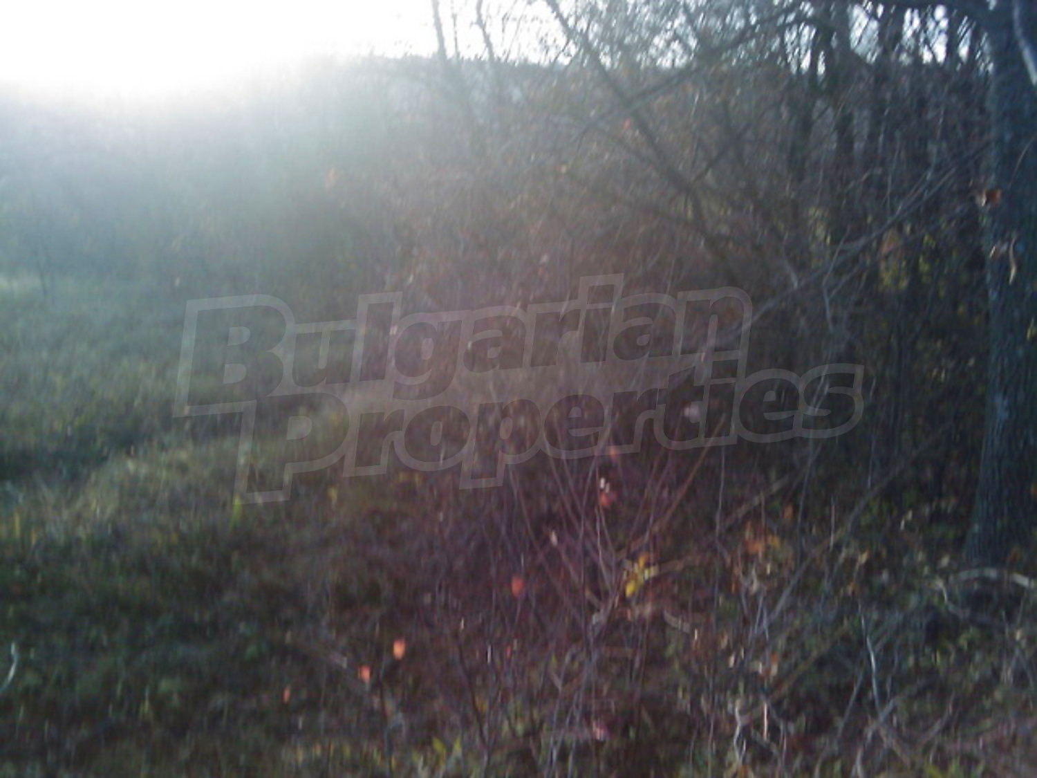 Gallery Picture 7