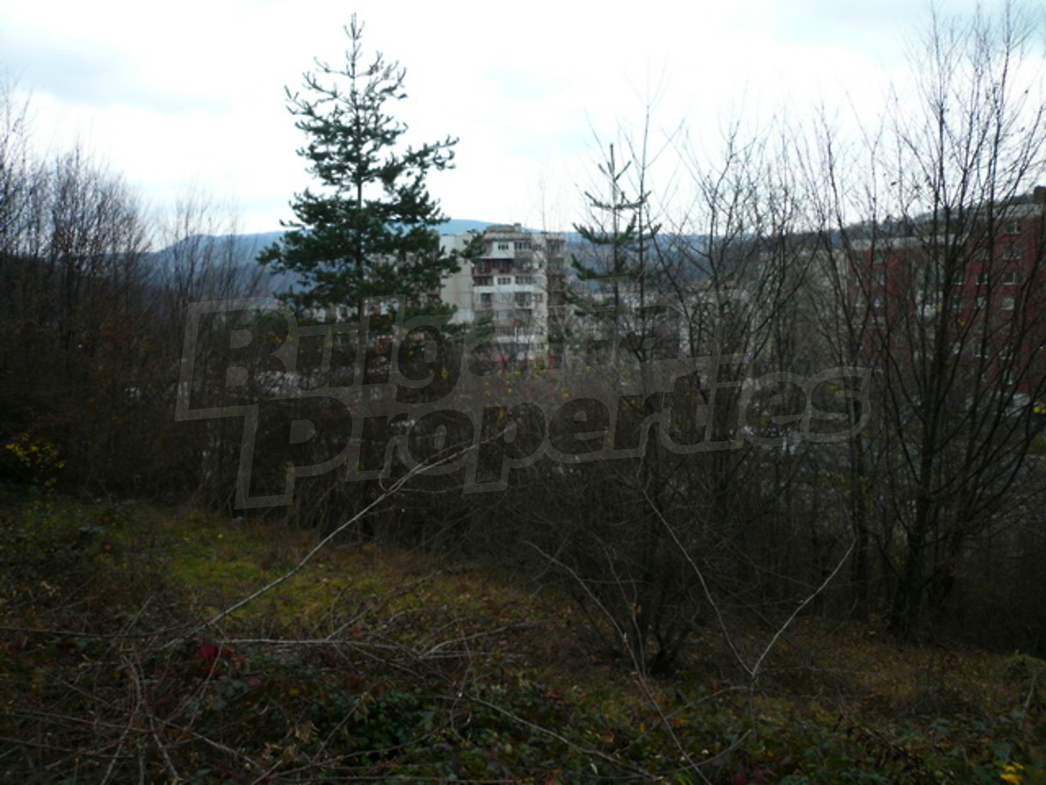 Gallery Picture 10