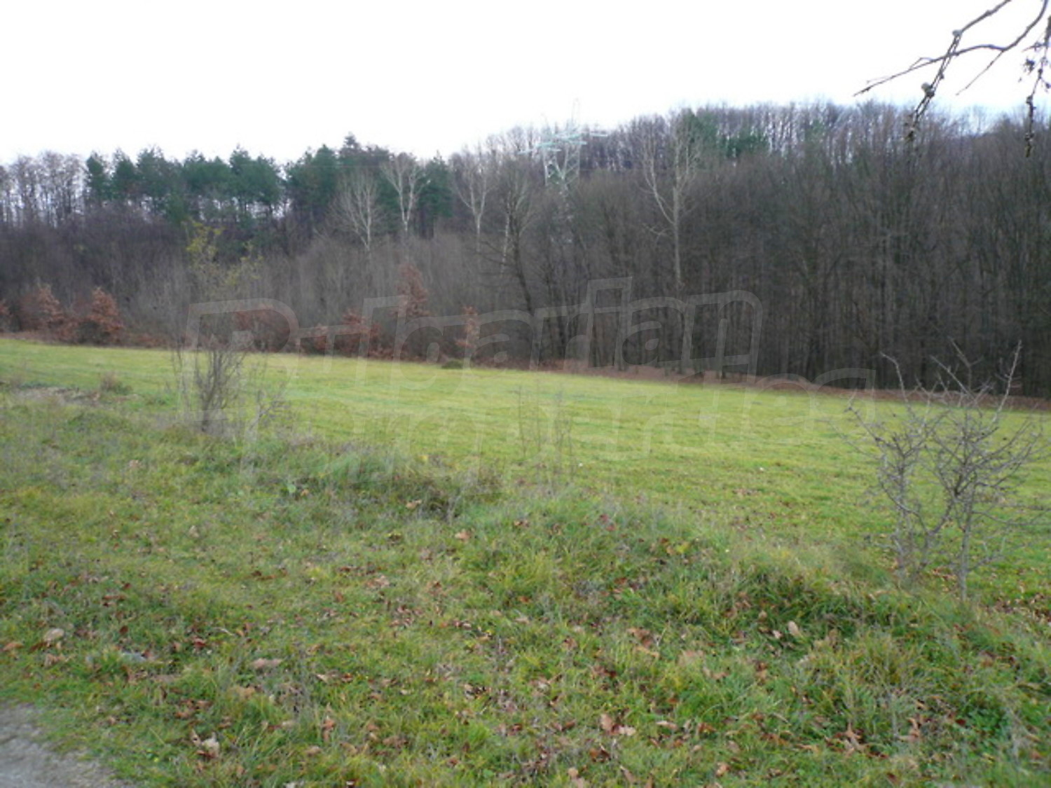 Gallery Picture 6