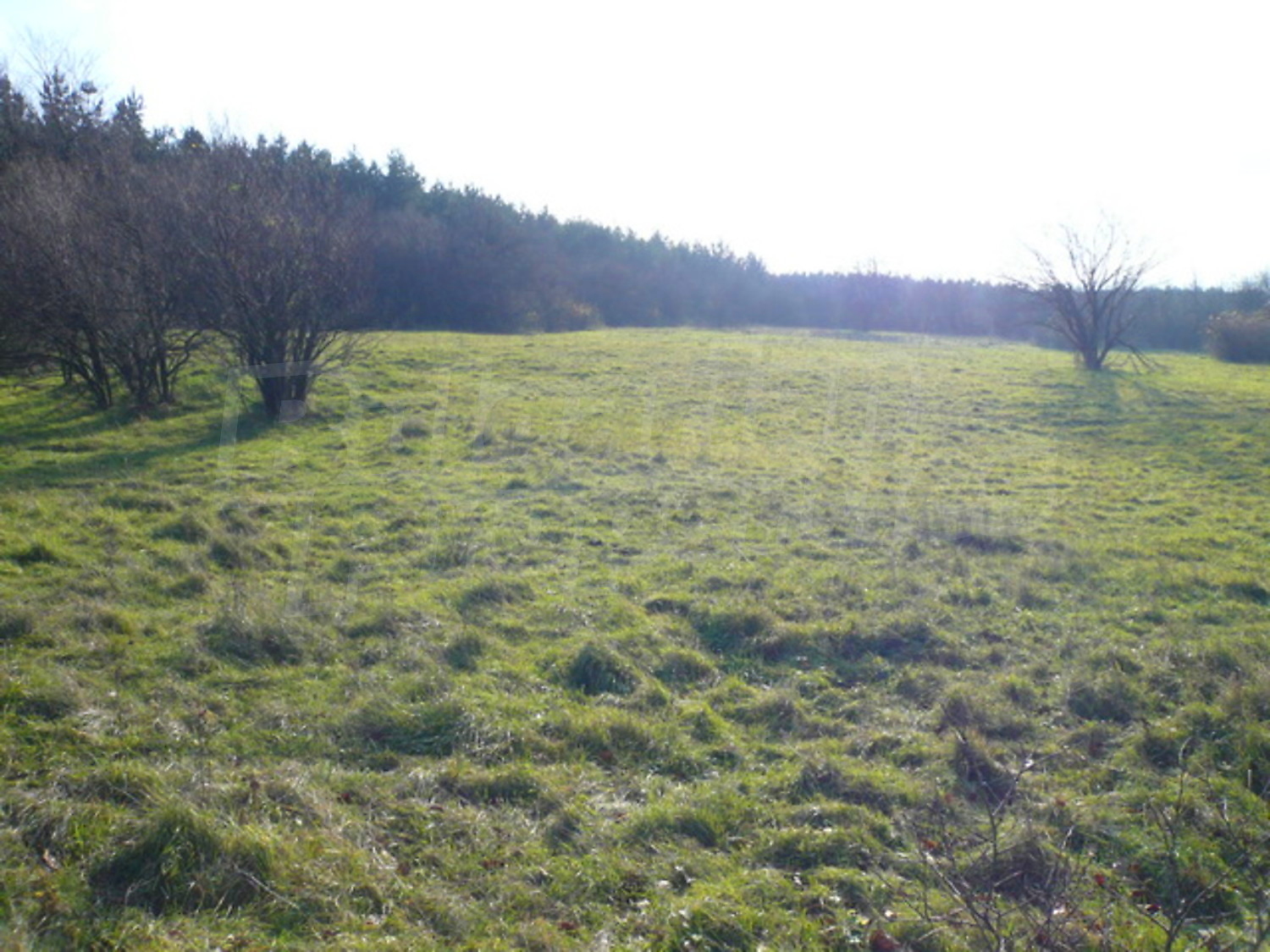 Gallery Picture 6