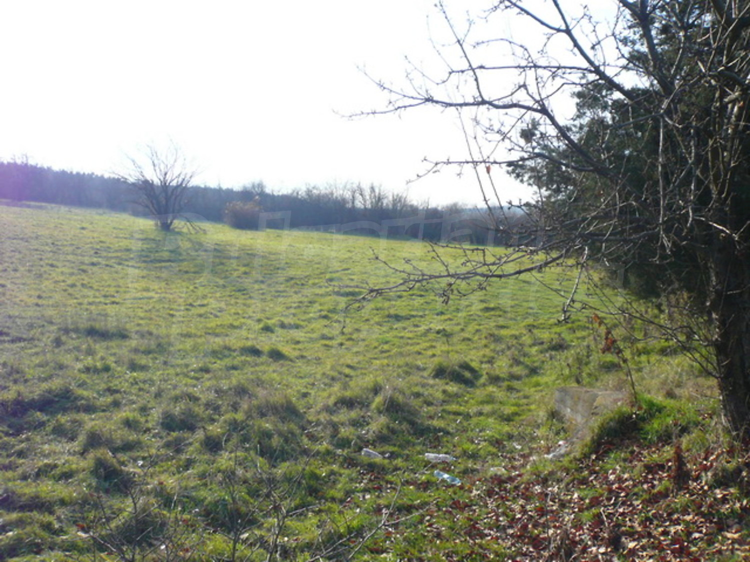 Gallery Picture 7