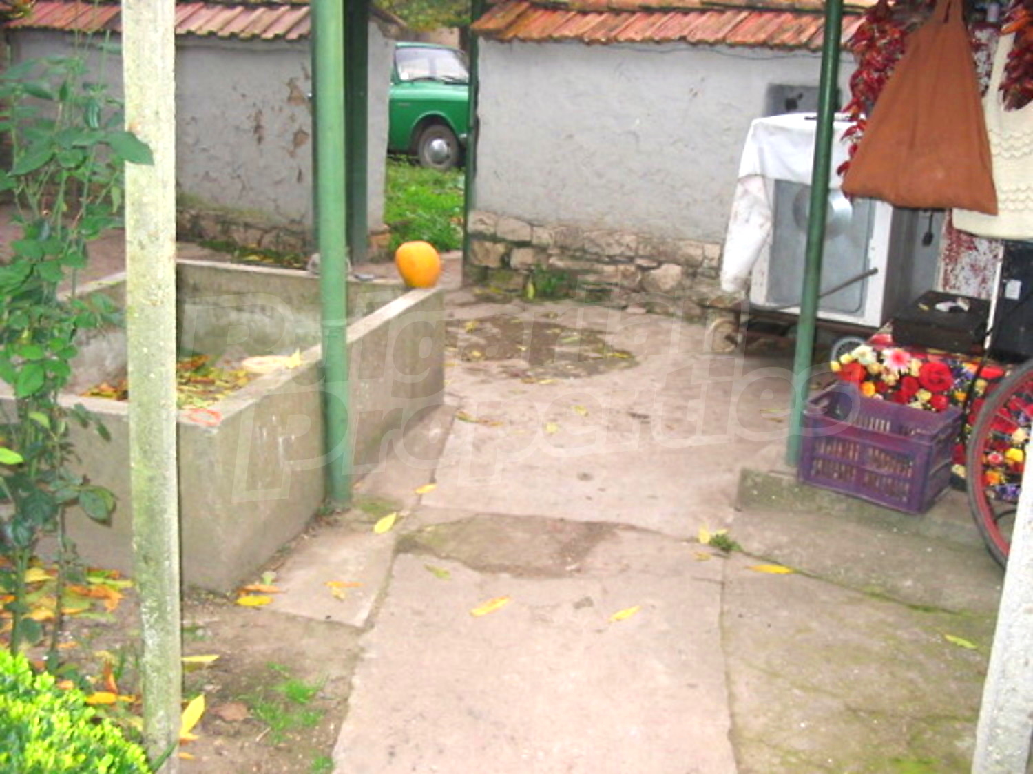 Gallery Picture 10