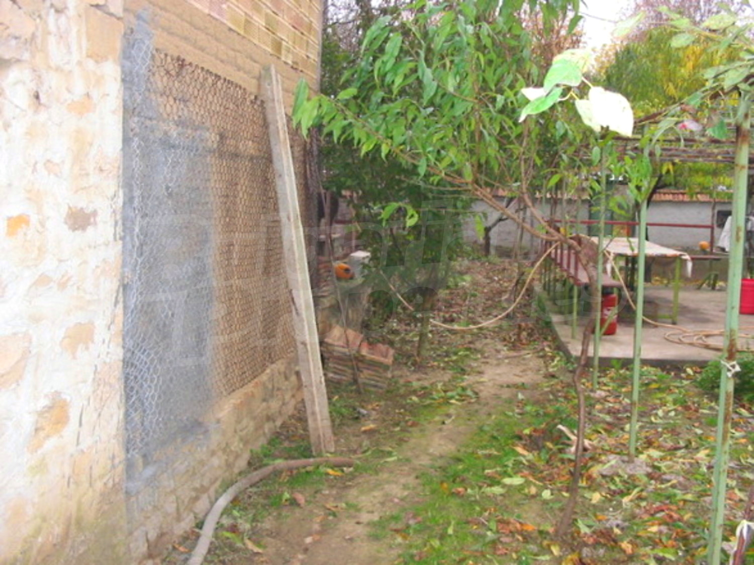 Gallery Picture 11
