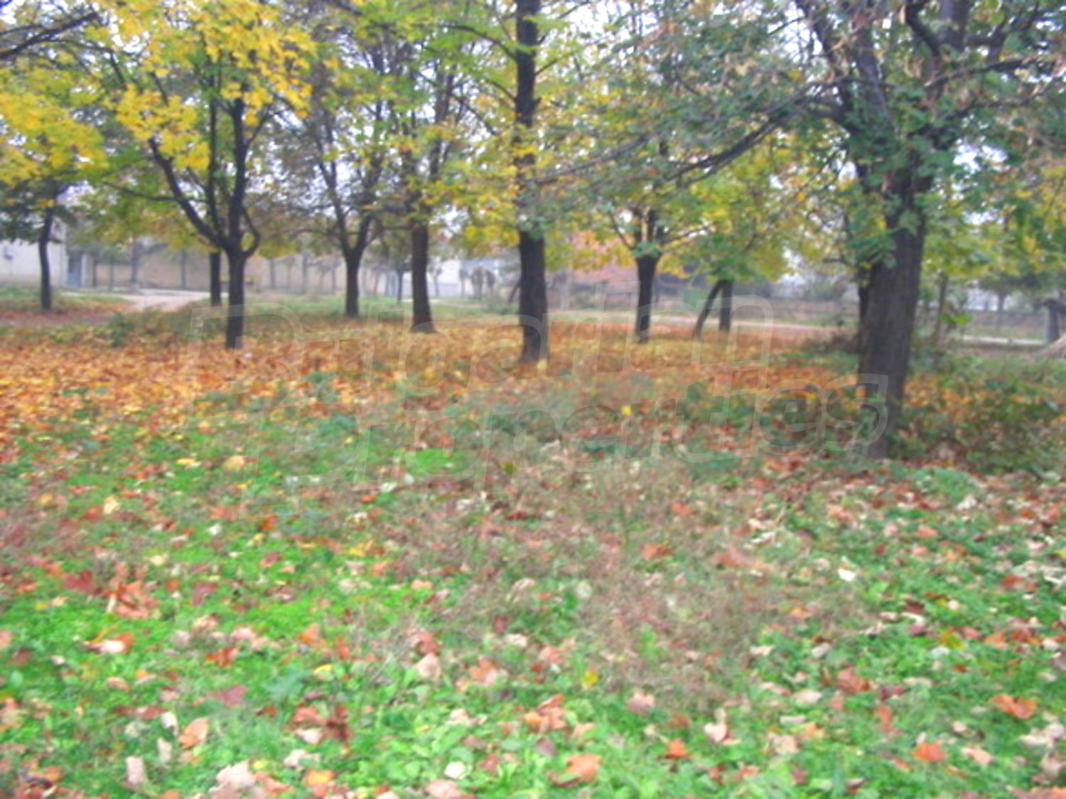 Gallery Picture 13