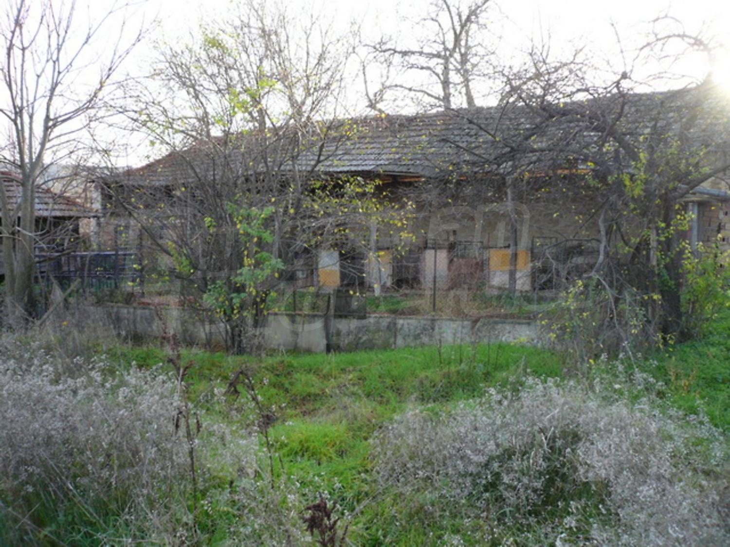 Gallery Picture 14