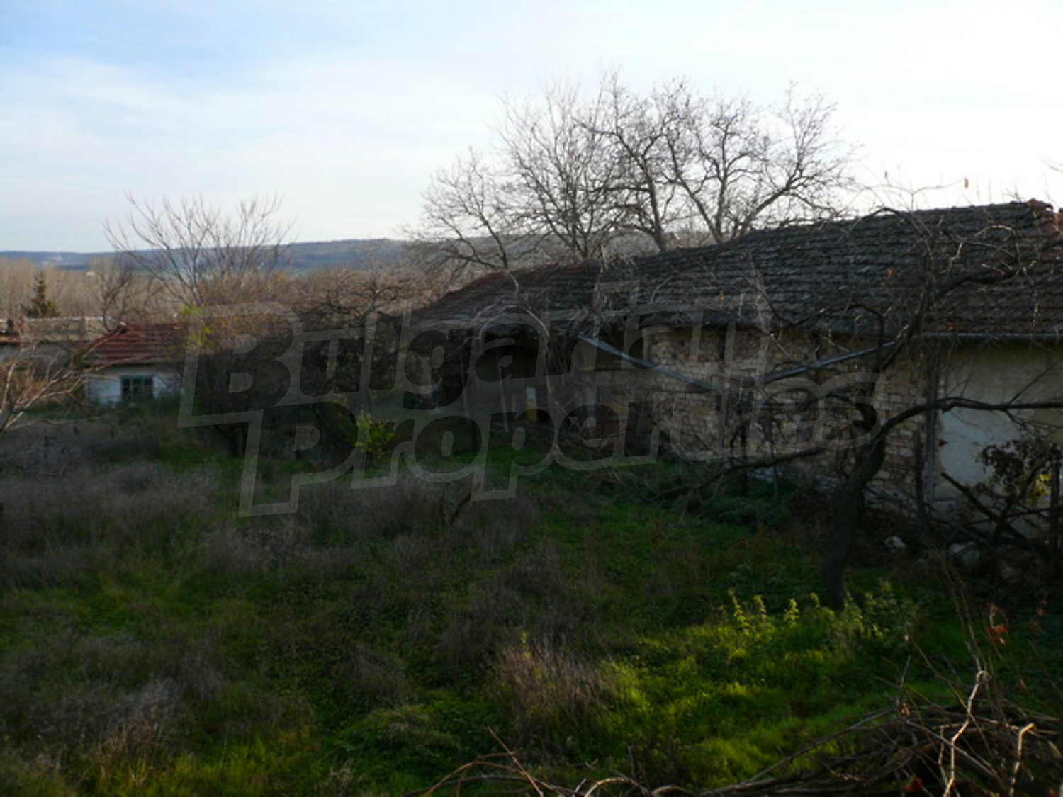 Gallery Picture 15