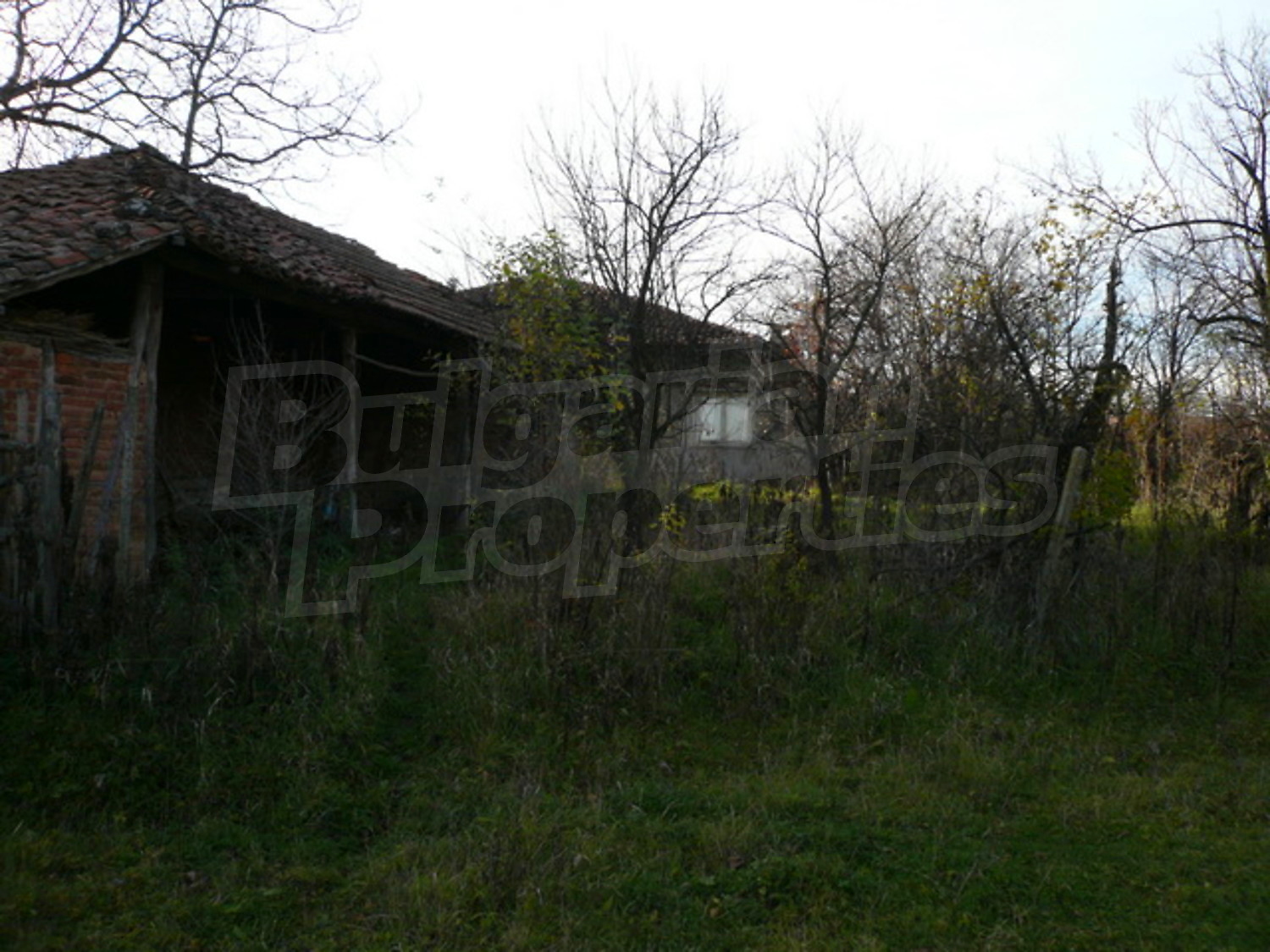 Gallery Picture 10