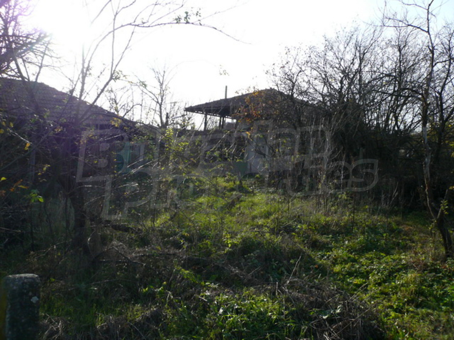 Gallery Picture 11