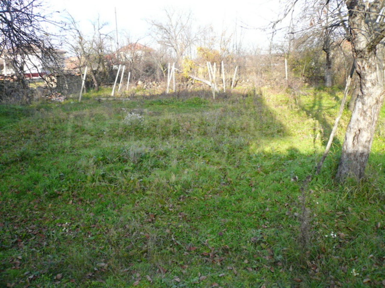 Gallery Picture 12