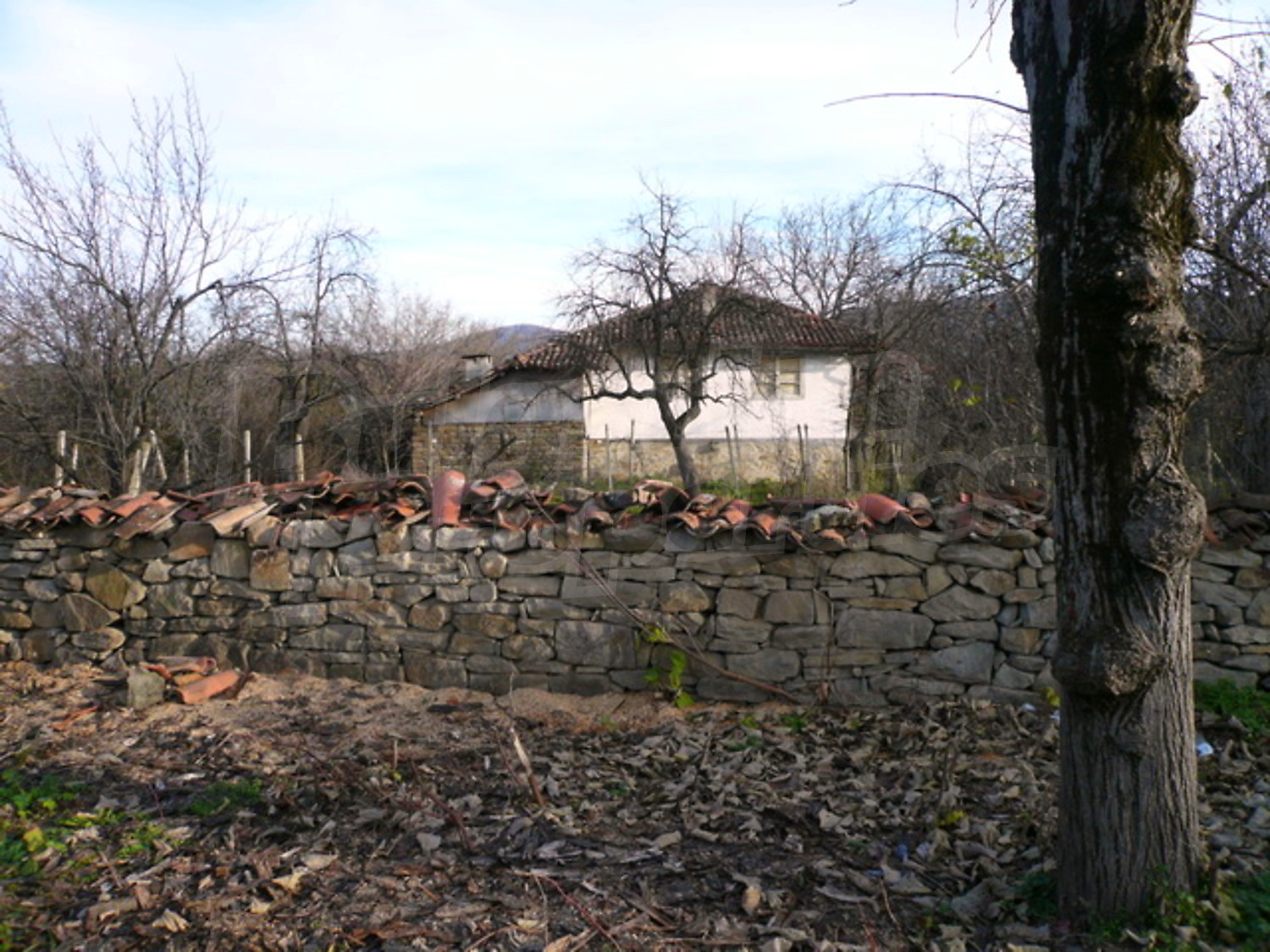 Gallery Picture 14