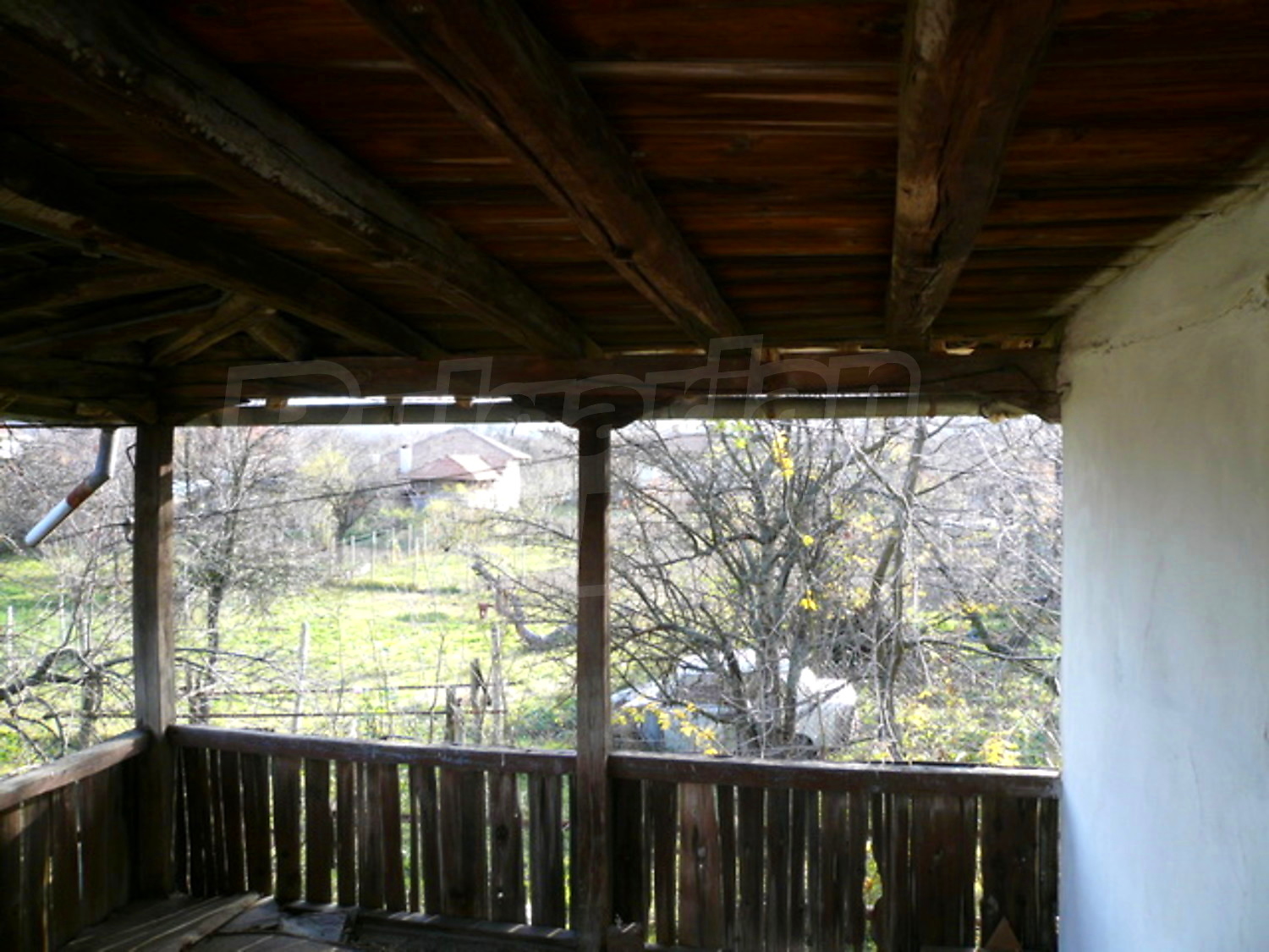 Gallery Picture 7