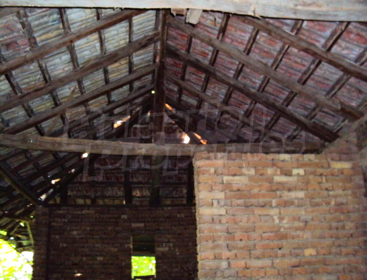 Gallery Picture 12
