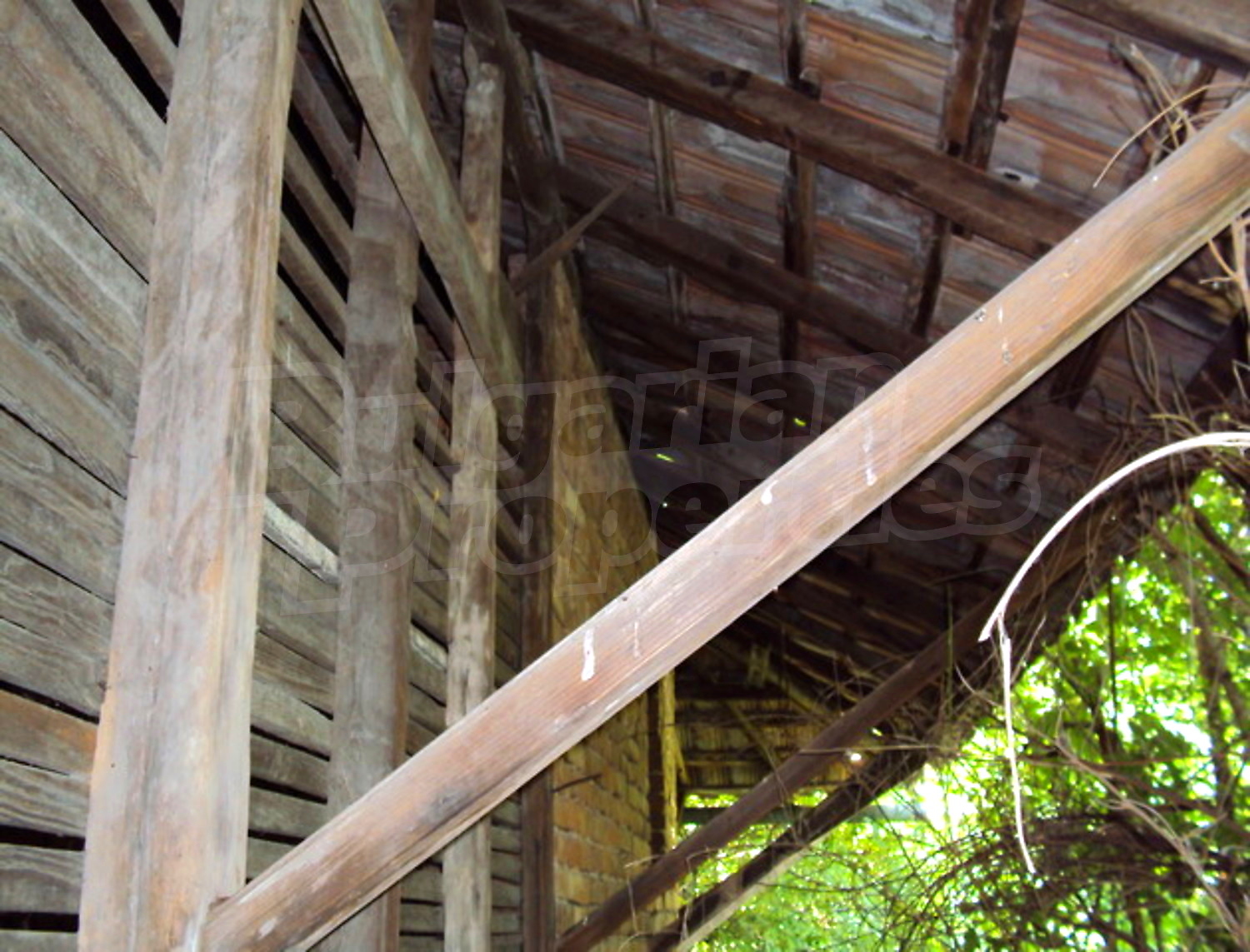 Gallery Picture 14