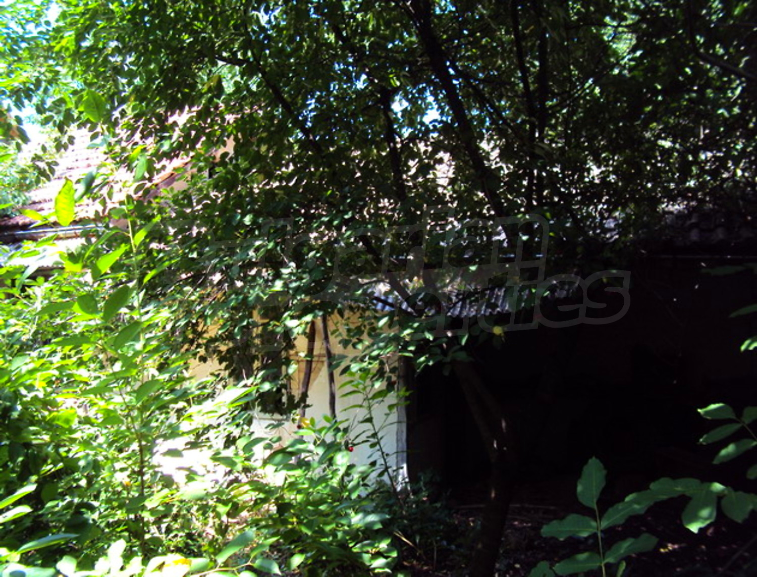 Gallery Picture 16