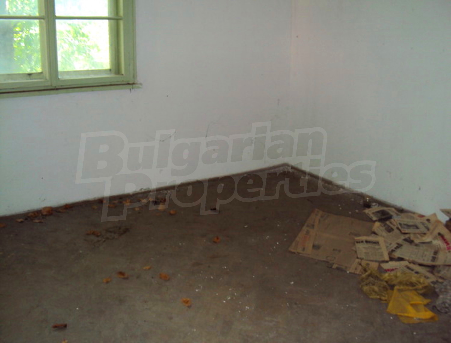 Gallery Picture 8