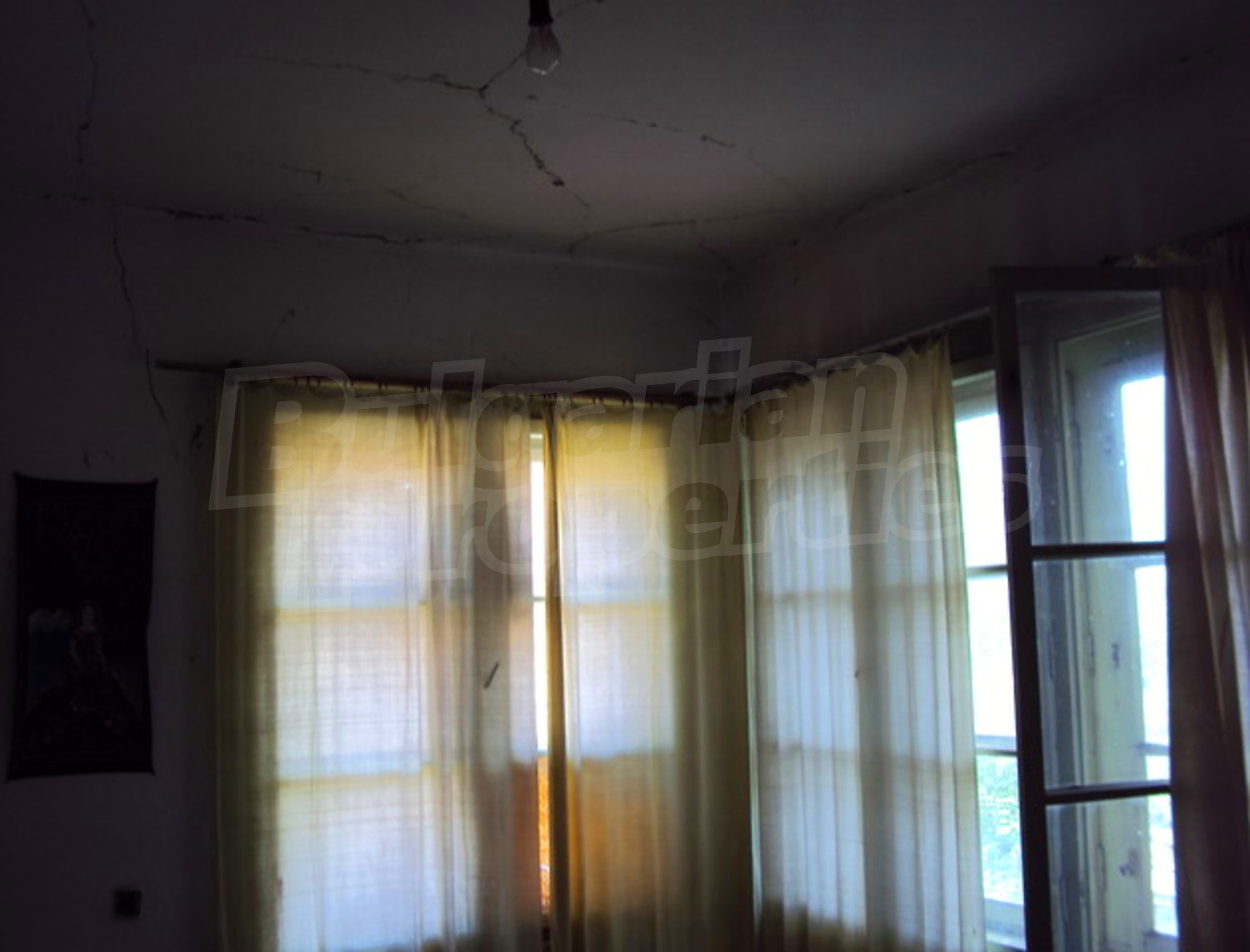 Gallery Picture 9