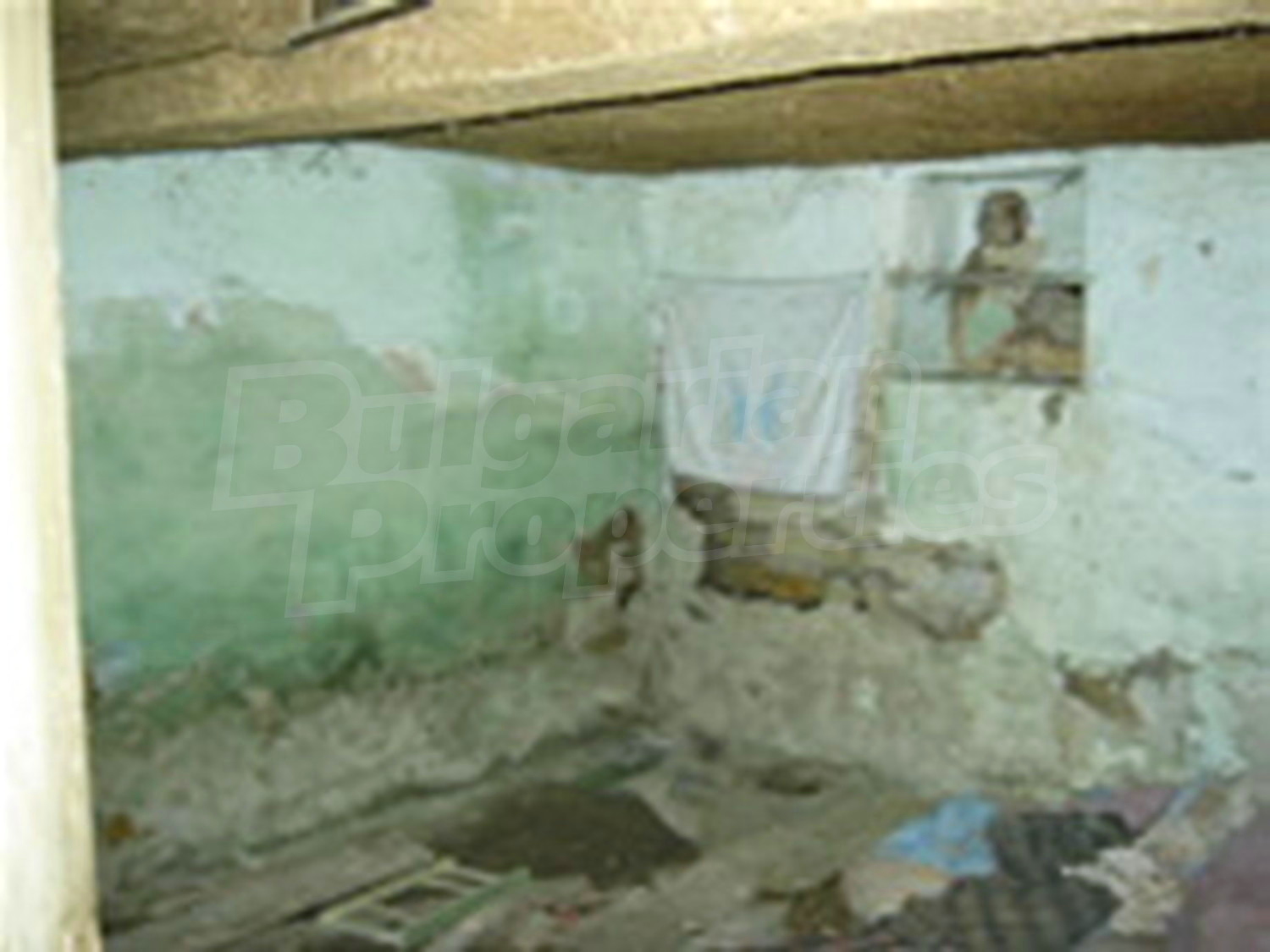 Gallery Picture 6