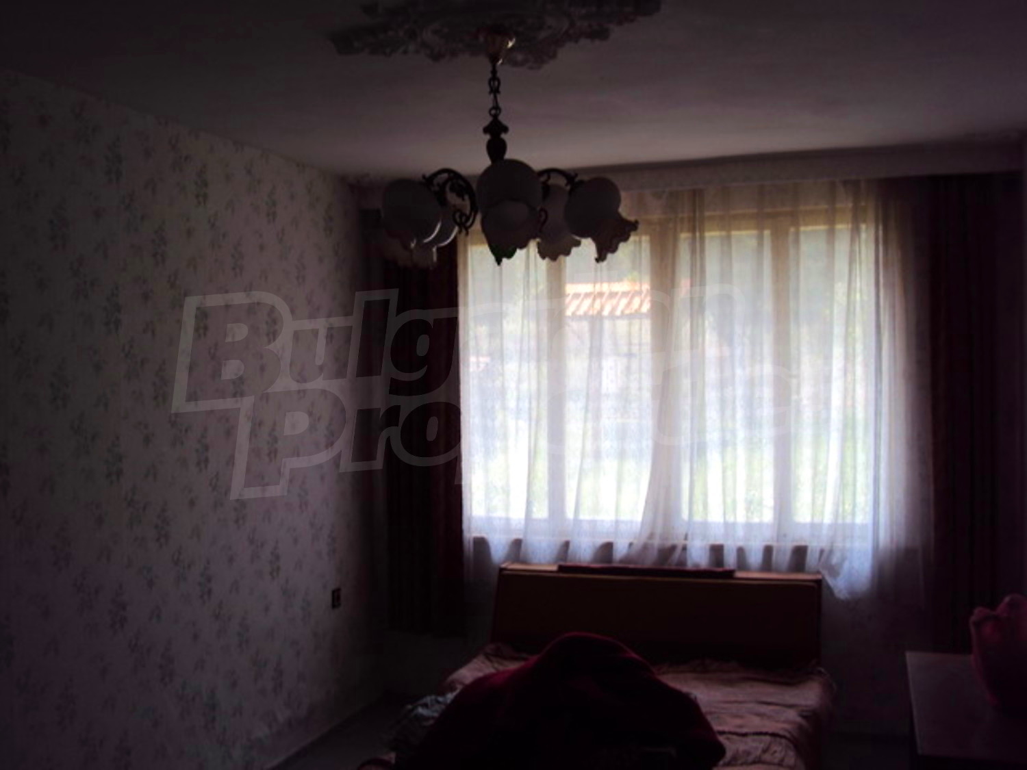 Gallery Picture 16