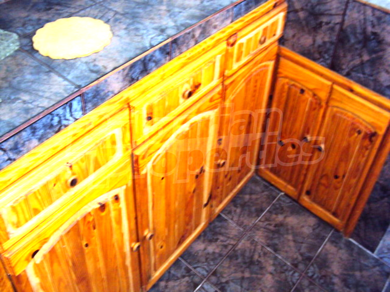 Gallery Picture 19
