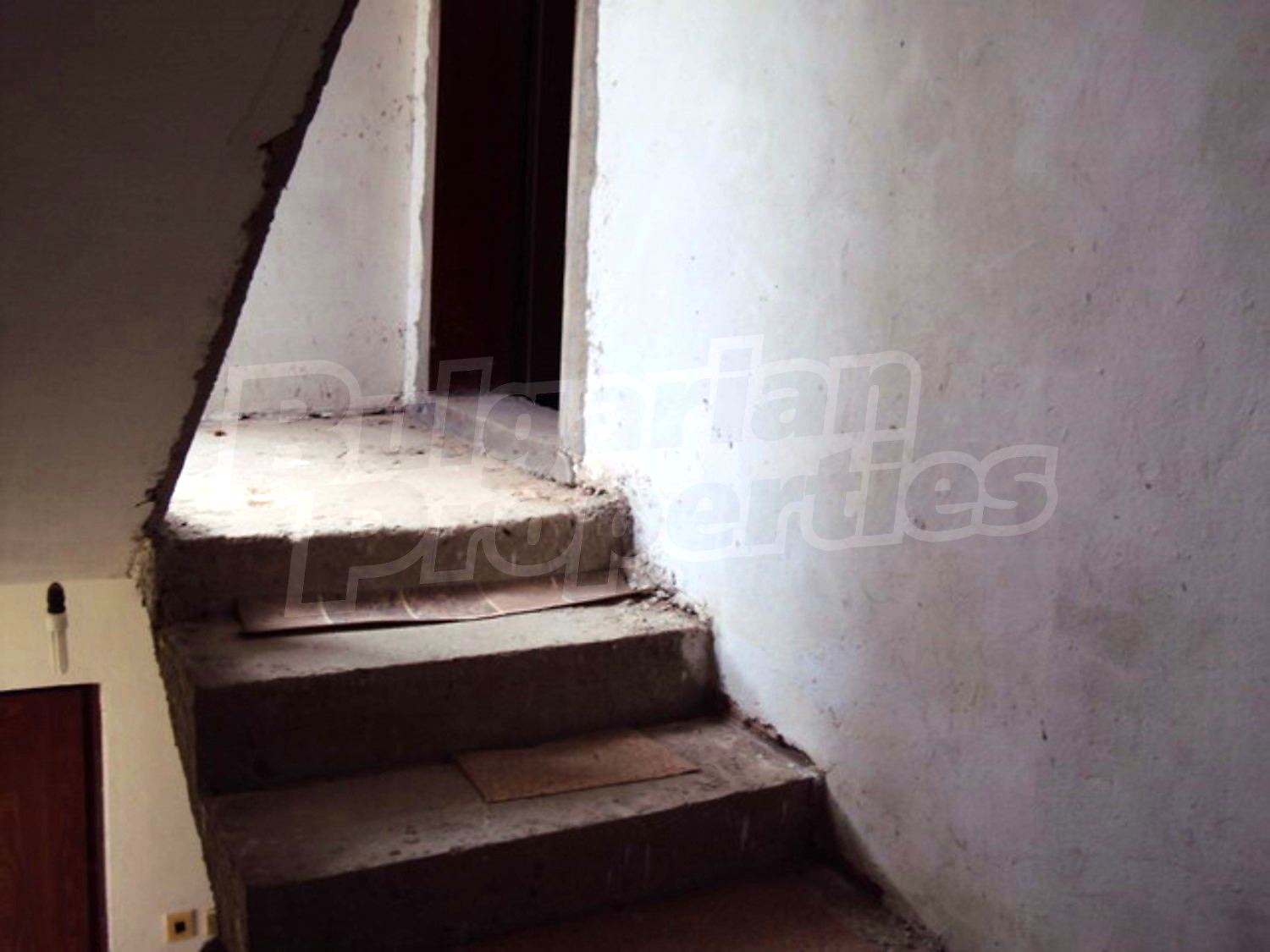 Gallery Picture 22