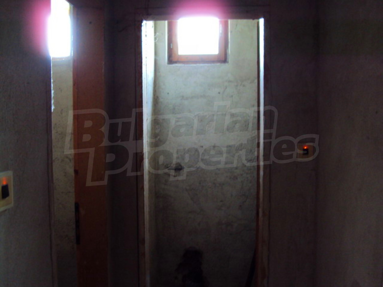 Gallery Picture 25