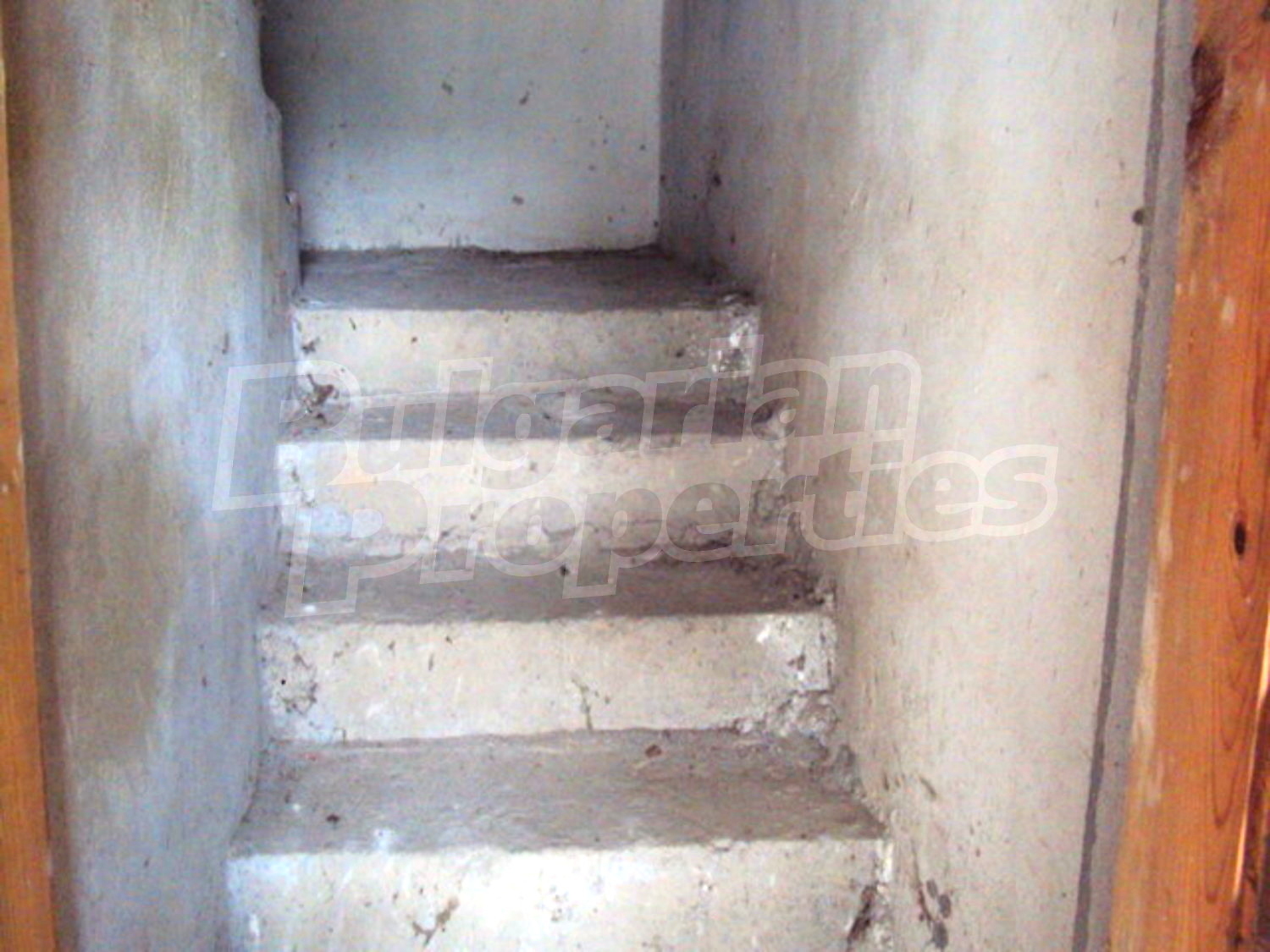 Gallery Picture 30