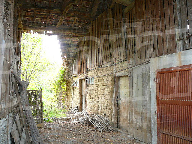 Gallery Picture 11