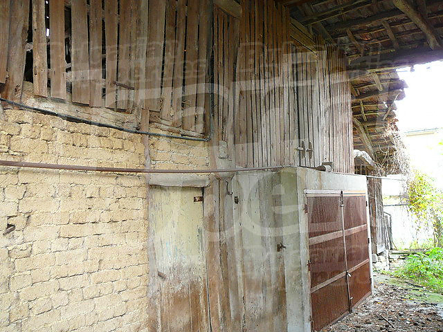 Gallery Picture 13