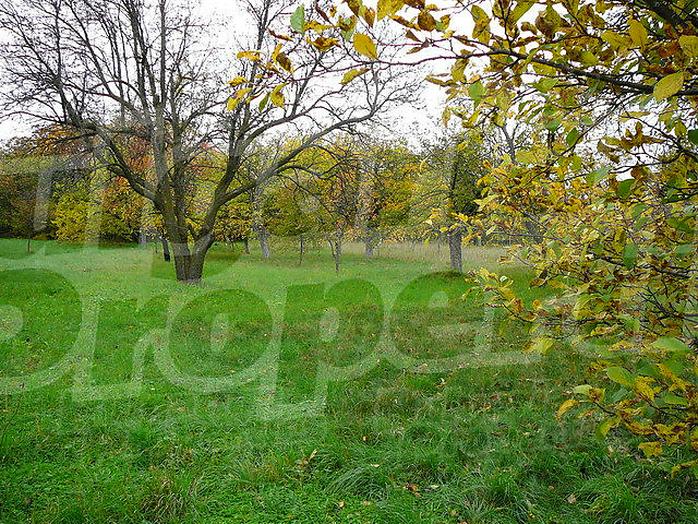 Gallery Picture 14