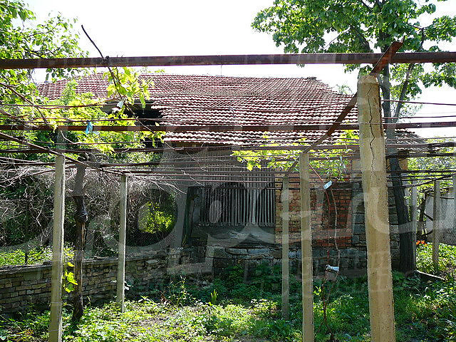 Gallery Picture 17