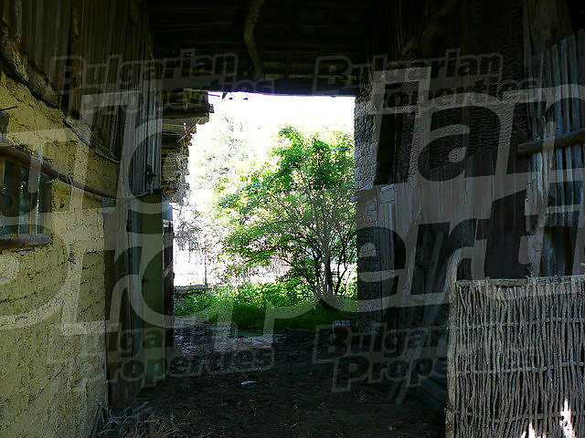 Gallery Picture 19