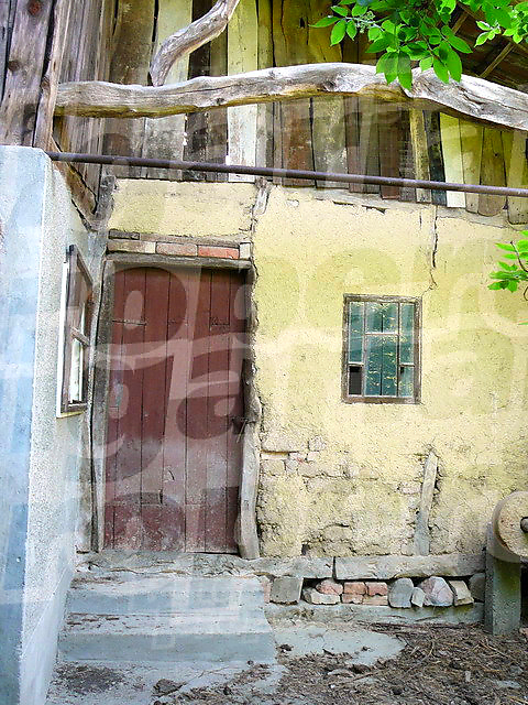 Gallery Picture 20