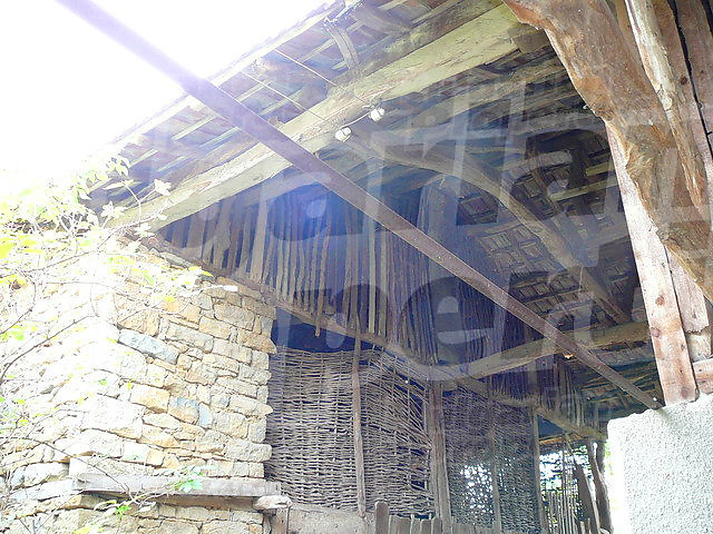 Gallery Picture 9