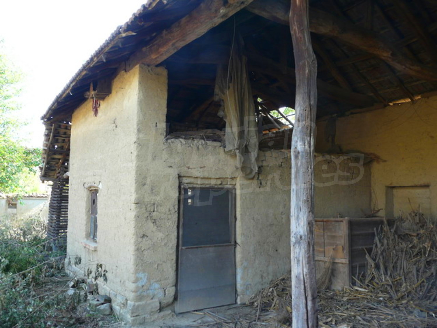 Gallery Picture 10