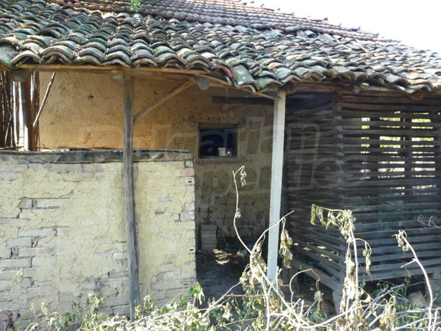 Gallery Picture 11