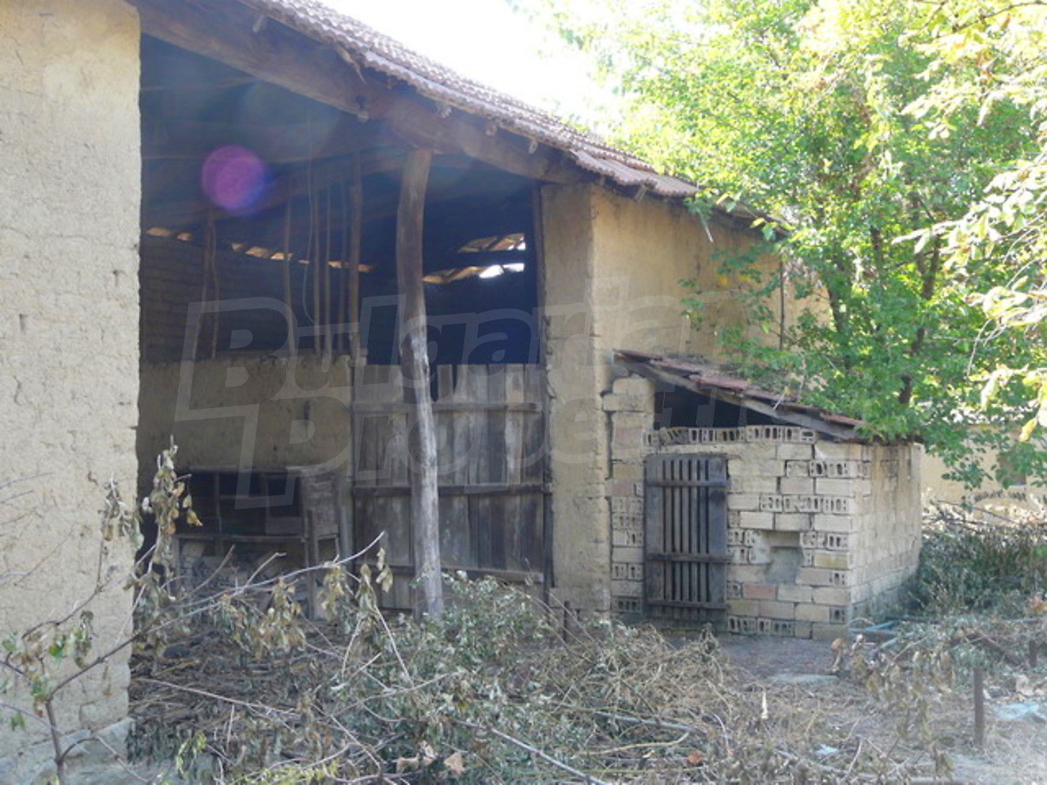 Gallery Picture 12