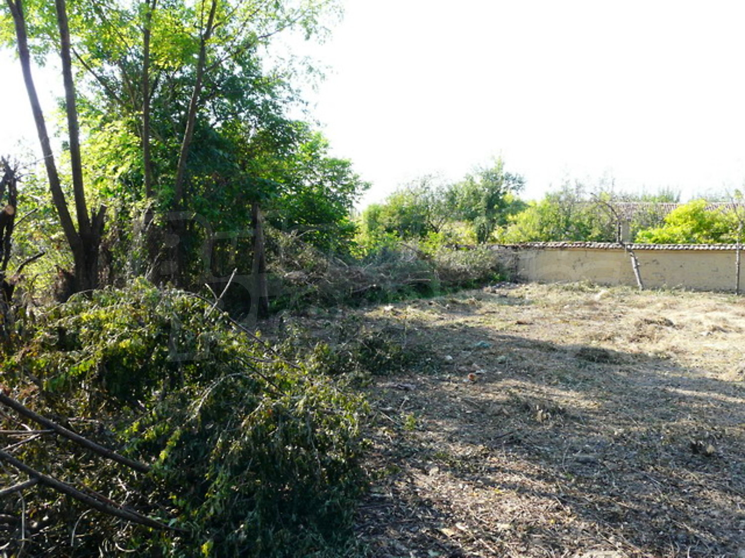 Gallery Picture 13