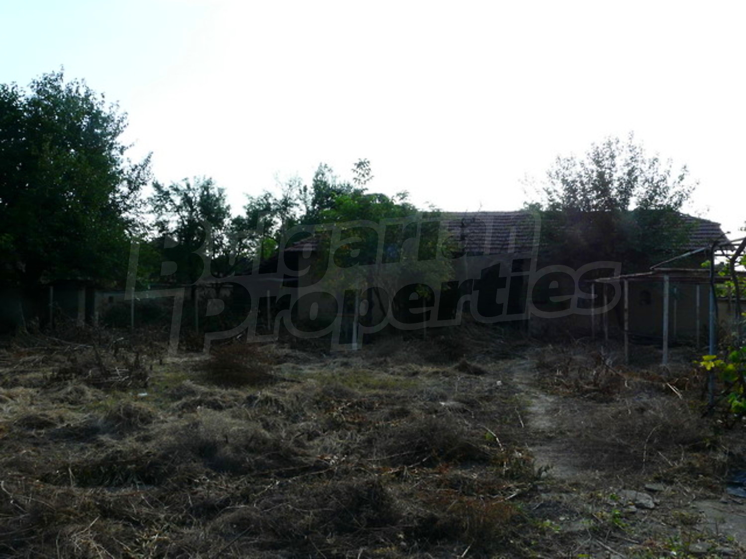 Gallery Picture 14