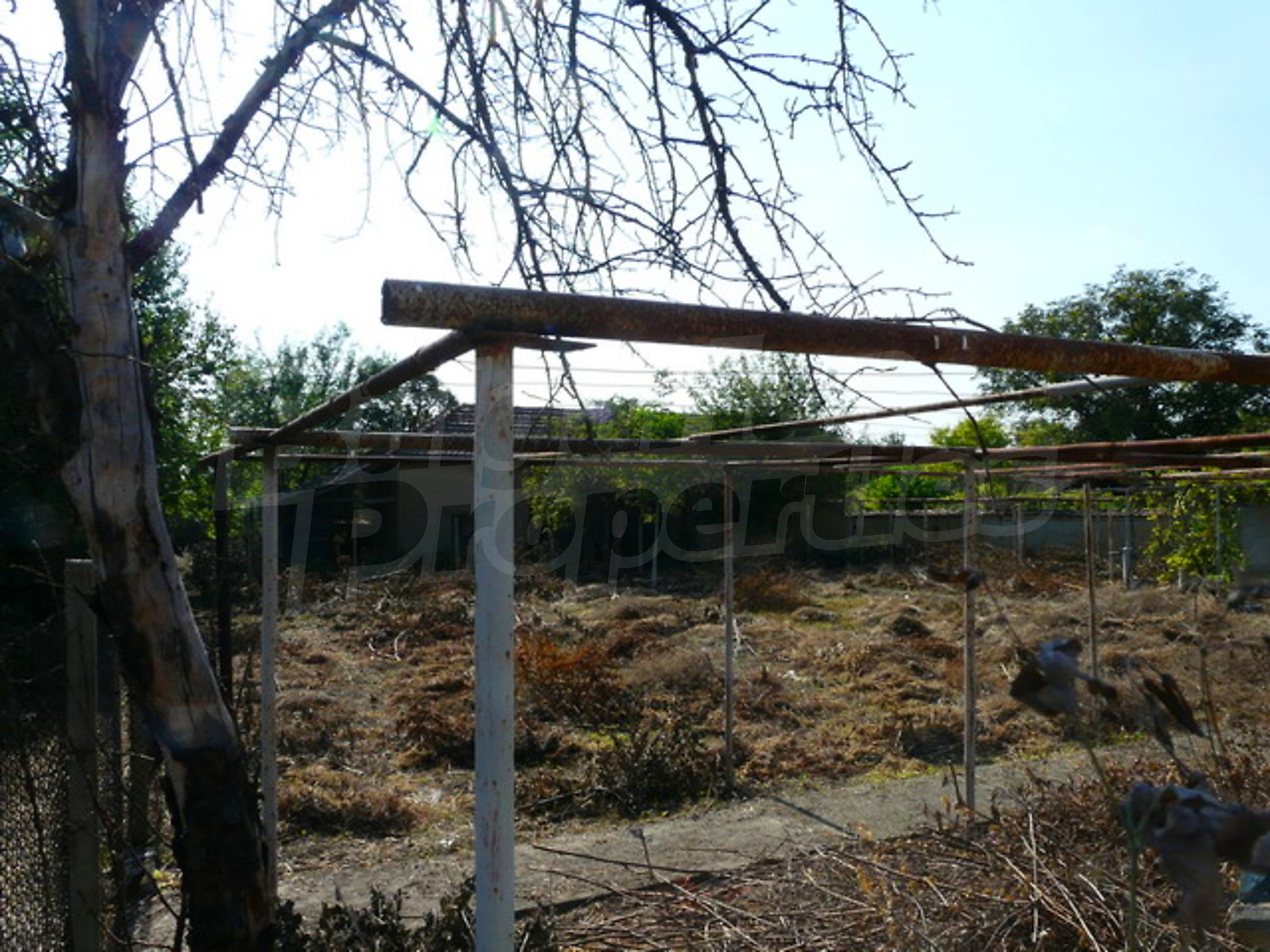 Gallery Picture 6