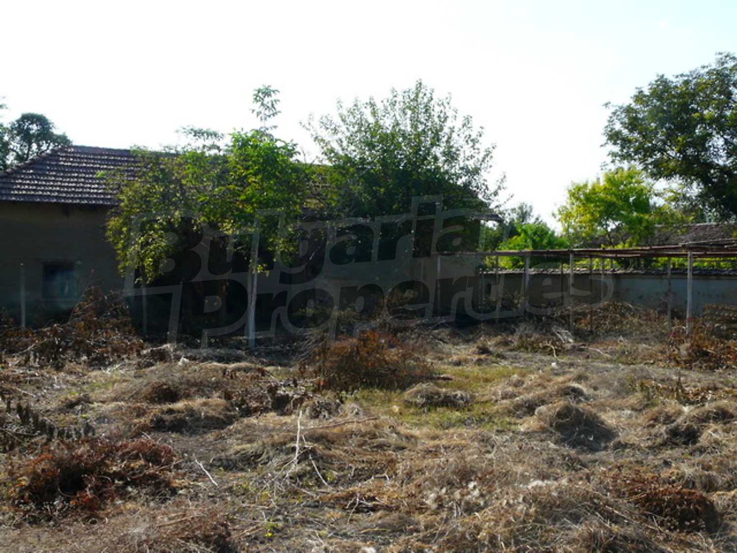 Gallery Picture 8
