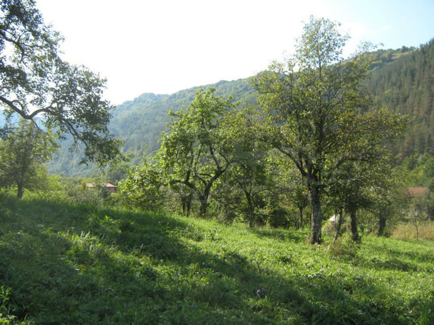 Gallery Picture 7