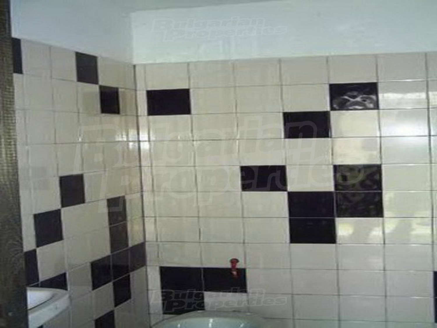 Gallery Picture 5