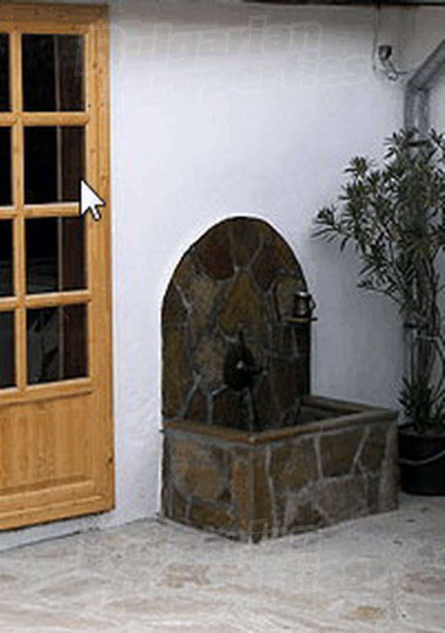 Gallery Picture 17
