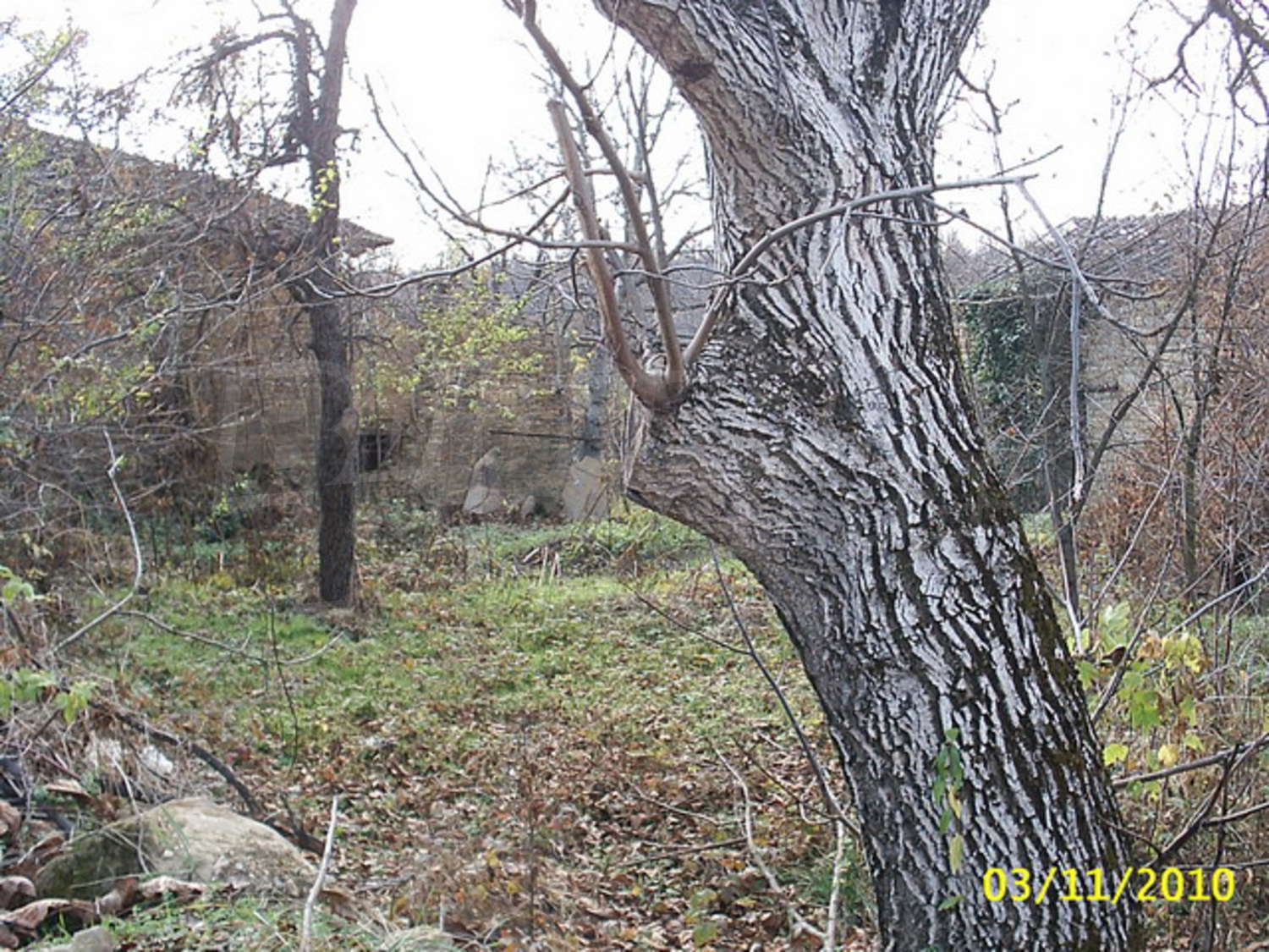 Gallery Picture 13