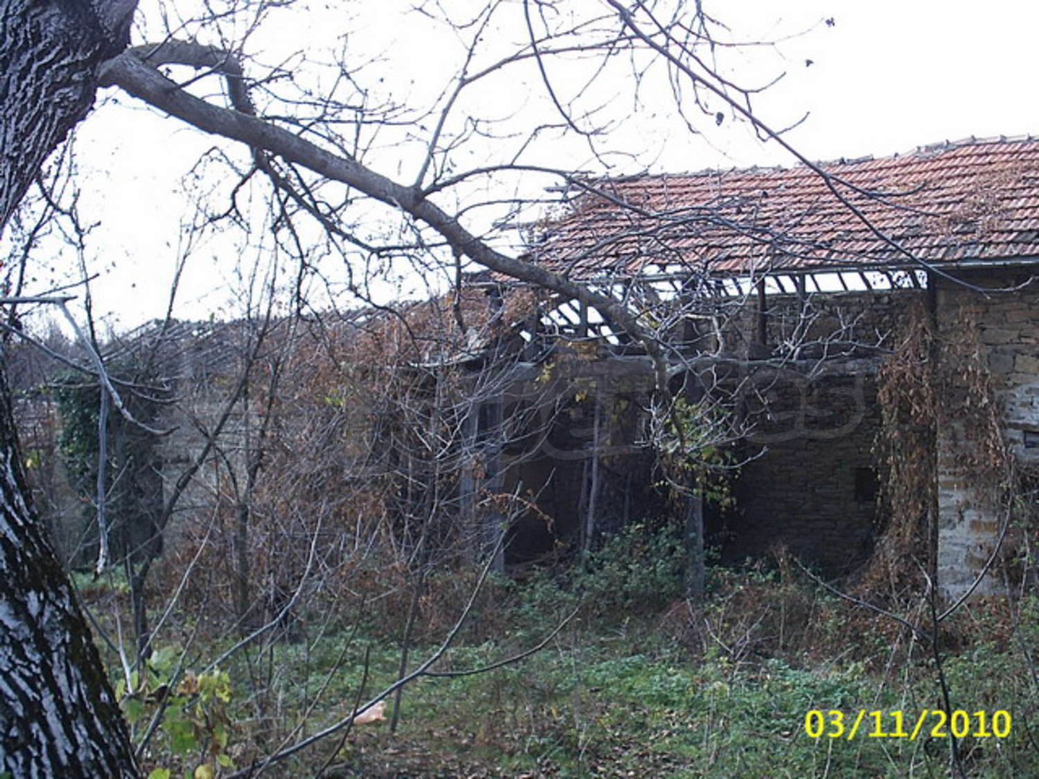 Gallery Picture 14